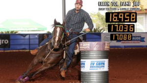 8º Leilão JBF Ranch & Haras Turato conta com uma seleção das melhores linhagens para Três Tambores