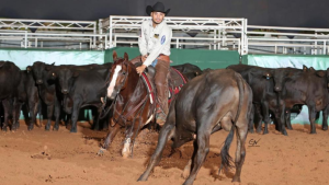 Araçatuba já tem os campeões de Apartação