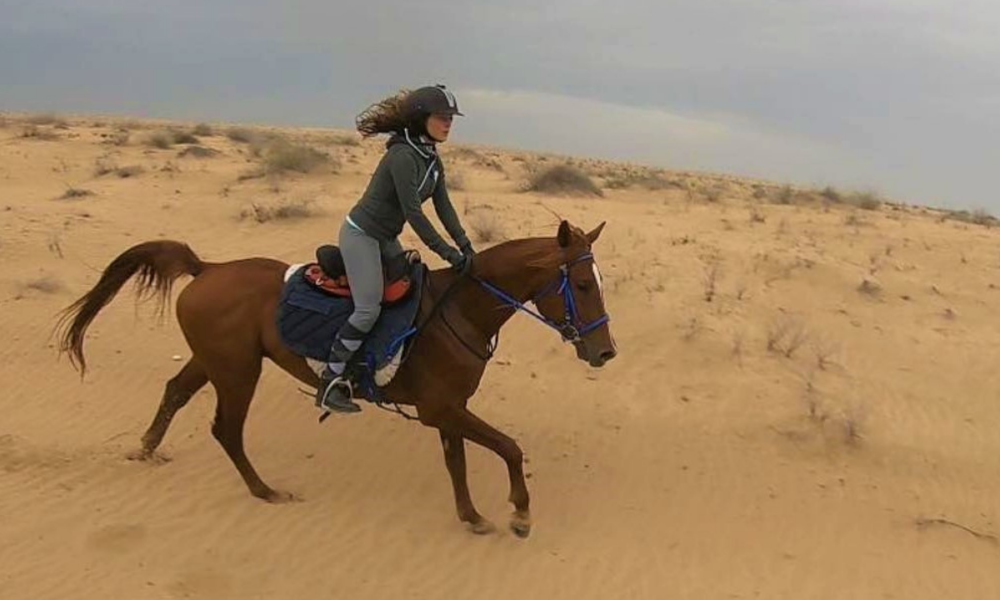 Cavalgada em Dubai com cavalos árabes