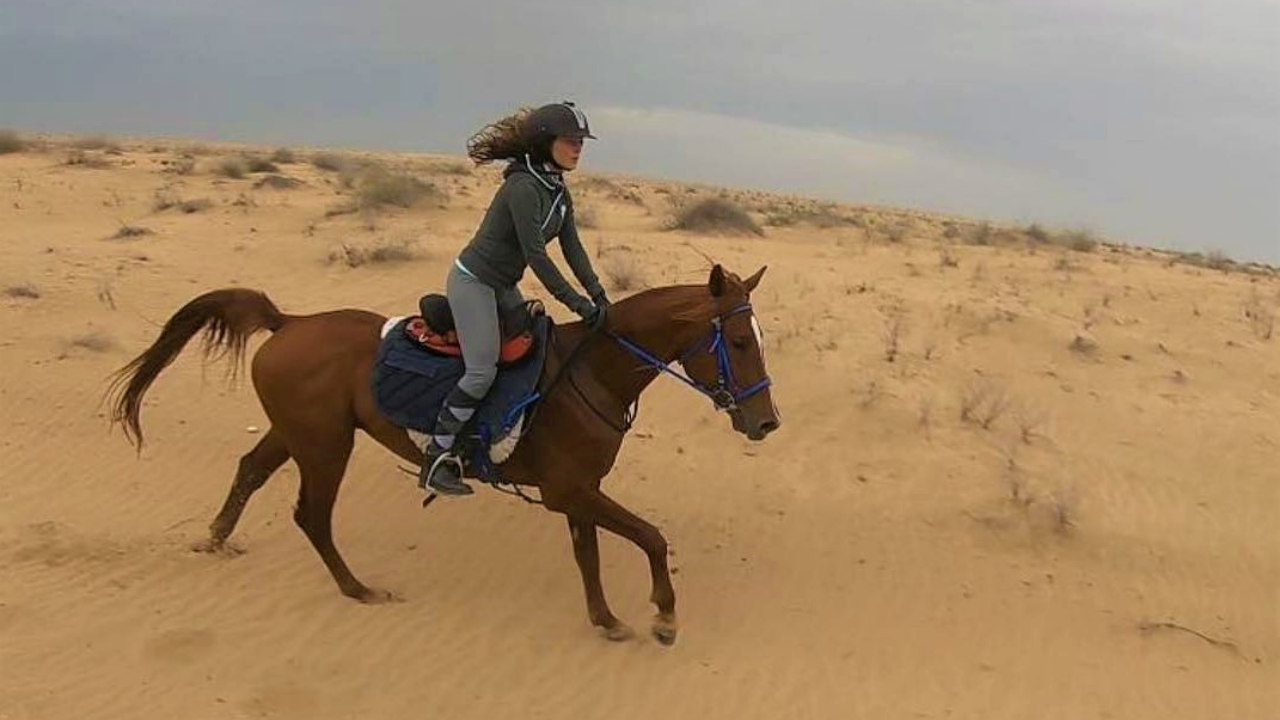 Cavalgada em Dubai com cavalos árabes