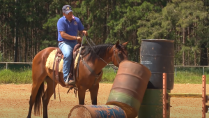 Cavalo que assusta no passeio