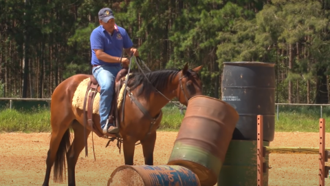 Cavalo que assusta no passeio