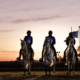 Festival Internacional de Enduro Equestre, que ocorreram de forma simultânea com a IV Etapa do Paulistão 2021