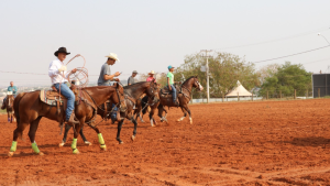 Conheça os destaques do Laço do 44º Campeonato Nacional da ABQM