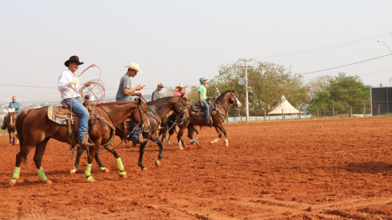 Conheça os destaques do Laço do 44º Campeonato Nacional da ABQM