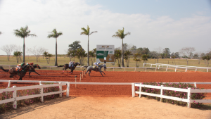 Fantastic Fly Apollo é destaque em mais uma corrida no Jockey Club de Sorocaba