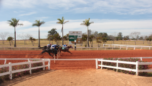 GP São Paulo – I Tríplice Coroa movimenta a pista do Jockey Club de Sorocaba