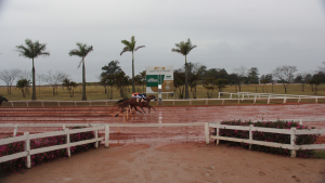 GP Taça de Prata e GP Brasil – II Tríplice Coroa agitam o final de semana no Jockey Club de Sorocaba