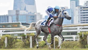 Machos da raça Árabe se enfrentam nos 1.000 m no Jockey Club de São Paulo