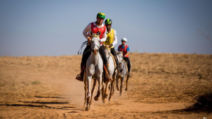 Provas de Enduro Equestre são retomadas no Estado do Rio de Janeiro