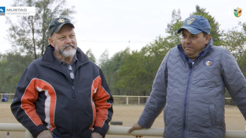 TV UC – Ferrador, veterinário e treinador em sintonia