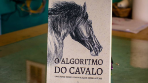 A importância do vínculo afetivo no treinamento e doma de cavalos