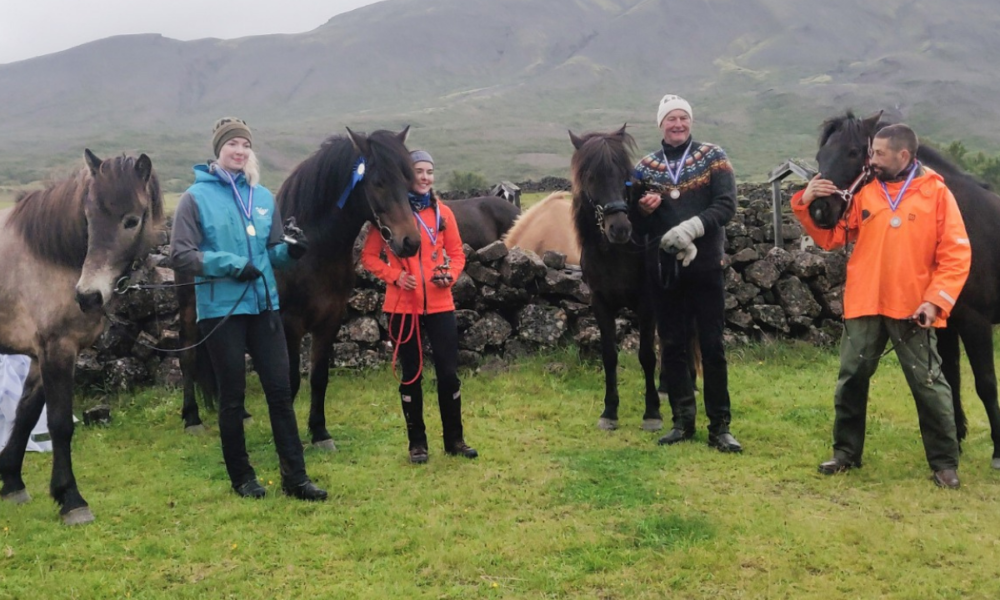 Cavalgada de resistência na Islândia