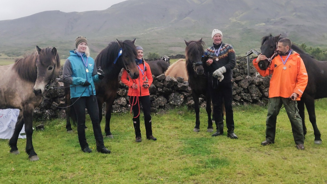 Cavalgada de resistência na Islândia