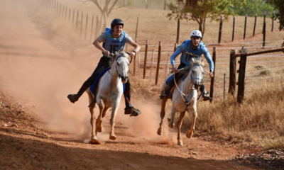Cavalo Árabe se sobressai durante o 30º Campeonato Brasileiro de Enduro Equestre