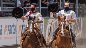 Ciclo do Cavalo Crioulo vai conhecer os melhores domadores do ano