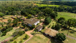 Com um plantel de campeões, Haras Cruzeiro está entre os melhores criatórios de cavalos árabes do Brasil