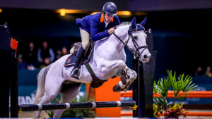 Desafio carro x cavalo Stuttgart Porsche acontece no domingo (03), no Indoor SHP