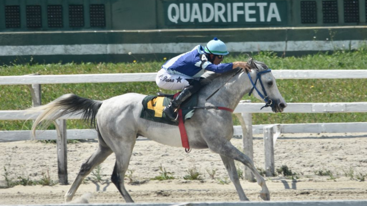 . Pelo Grande Prêmio da Associação Brasileira de Criadores do Cavalo Árabe (ABCCA) 11 animais estiveram em disputa, nos 1400 metros na pista de areia, concorrendo a uma bolsa de mais de R$ 15 mil em prêmios.