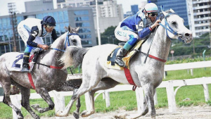 Grande Prêmio ABCCA 2021 acontece neste sábado no Jockey Club de SP