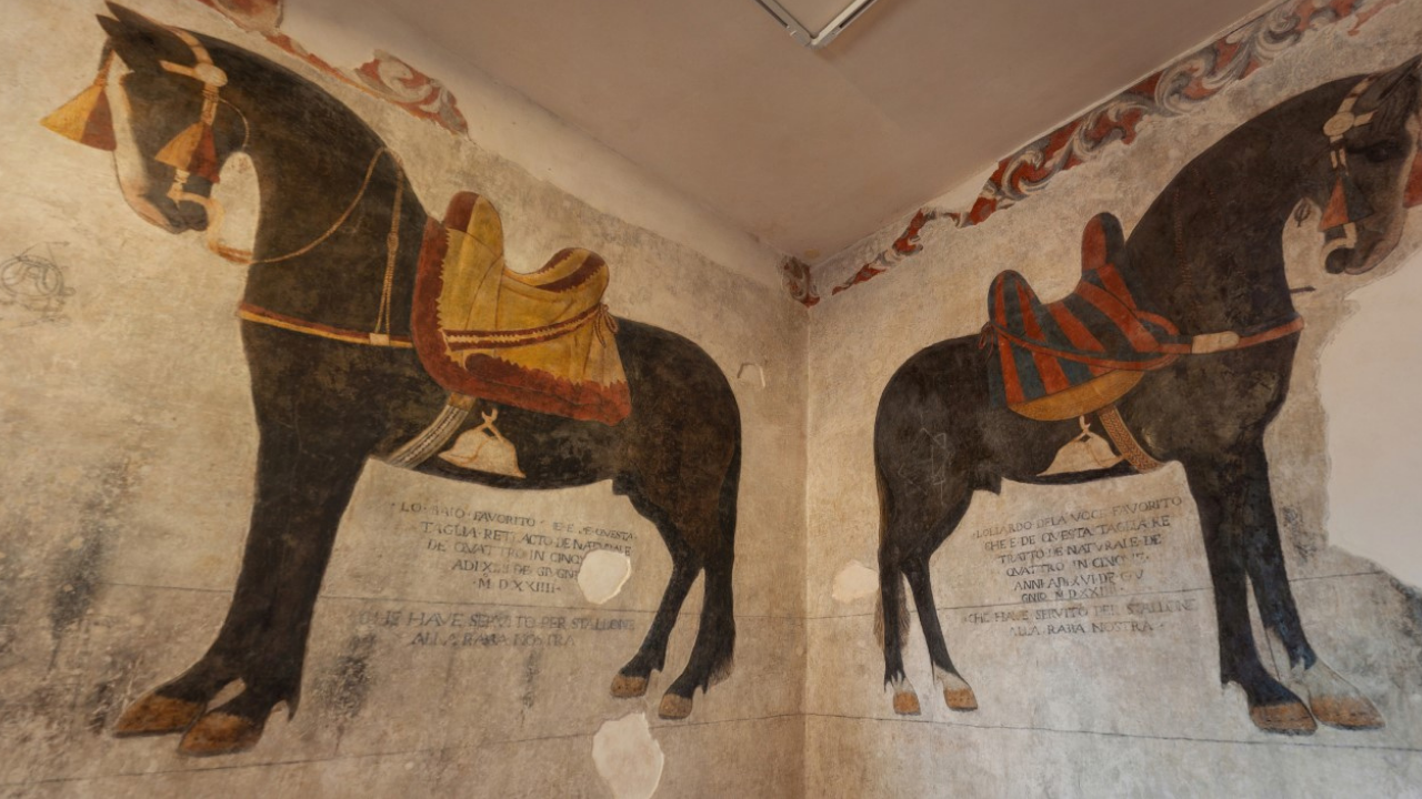 Indícios da origem do Cavalo Crioulo