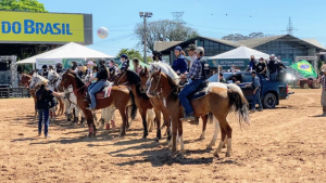 Participação do cavalo Árabe na Expointer 2021 proporciona bons negócios para a raça