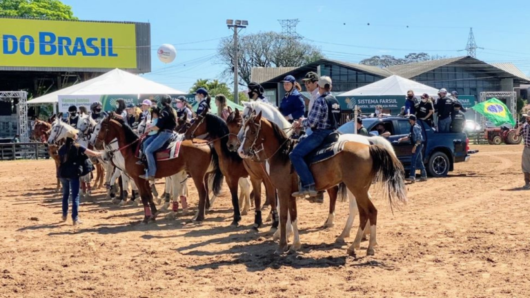 Participação do cavalo Árabe na Expointer 2021 proporciona bons negócios para a raça