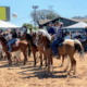 Participação do cavalo Árabe na Expointer 2021 proporciona bons negócios para a raça