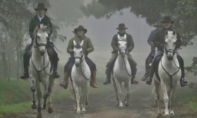 Rotas Históricas a Cavalo – Real Caminho do Viamão
