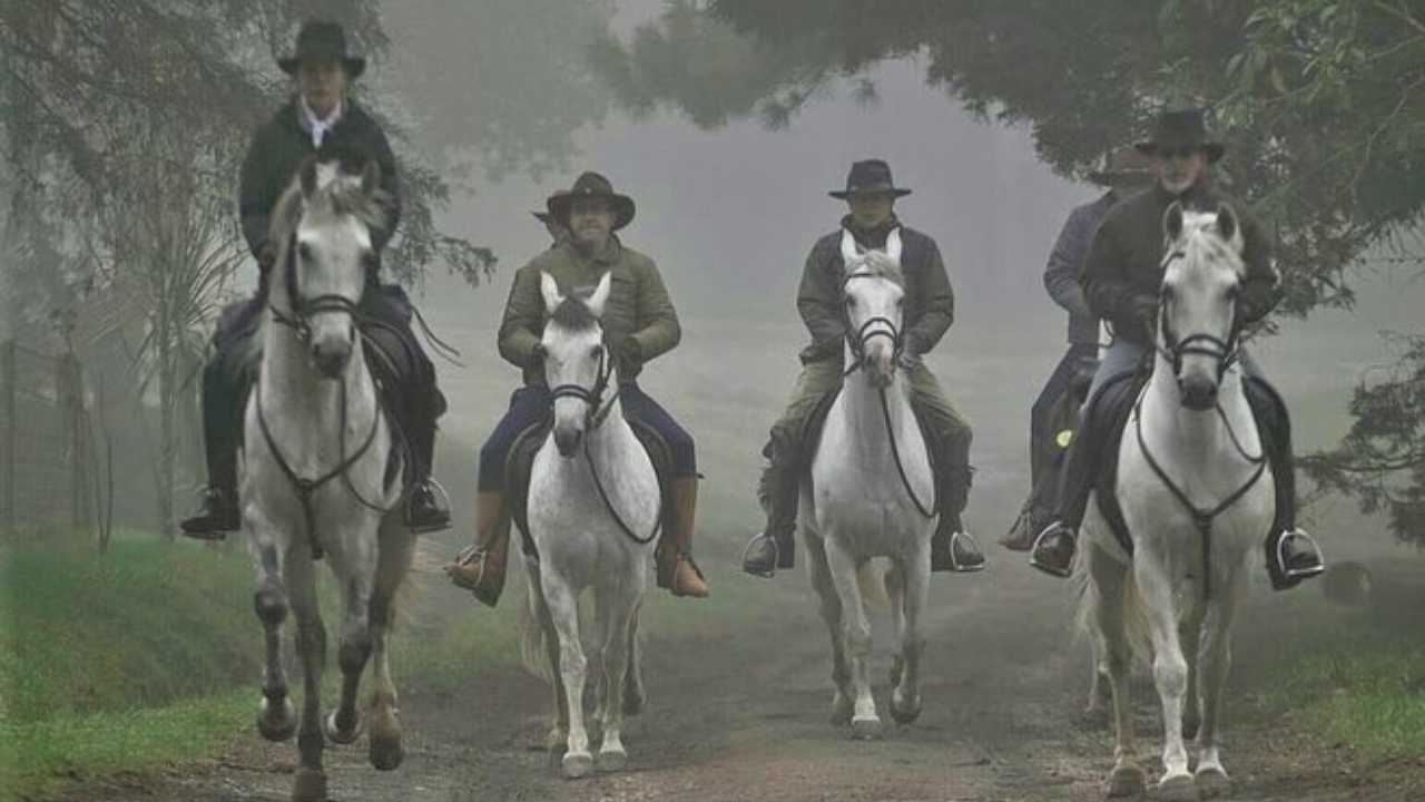 Rotas Históricas a Cavalo – Real Caminho do Viamão