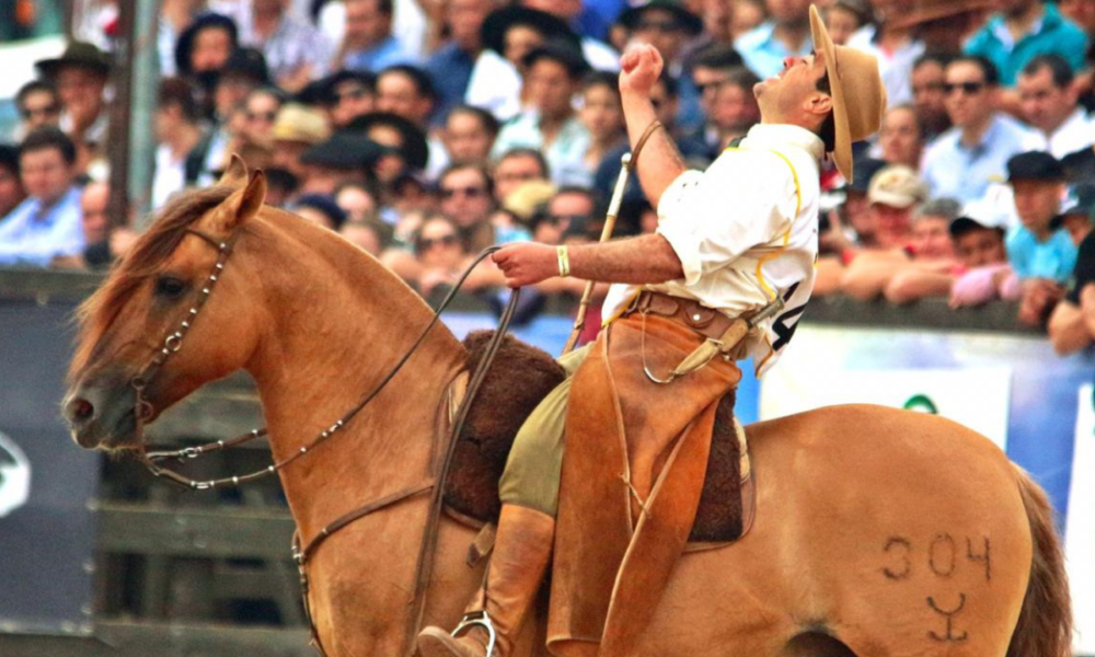 Saúde dos cascos é essencial para o sucesso dos cavalos crioulos