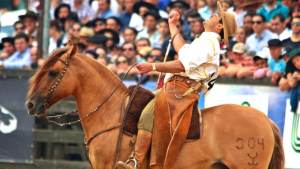 Kerabol® é aliado na saúde dos cascos, essencial para o sucesso dos cavalos crioulos