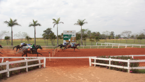 Teller Turim MRL foi o campeão da grande final do GP Brasil – II Tríplice Coroa