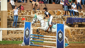 V Etapa do Campeonato ABHIR registra estreia de novos conjuntos formados com exemplares Árabes