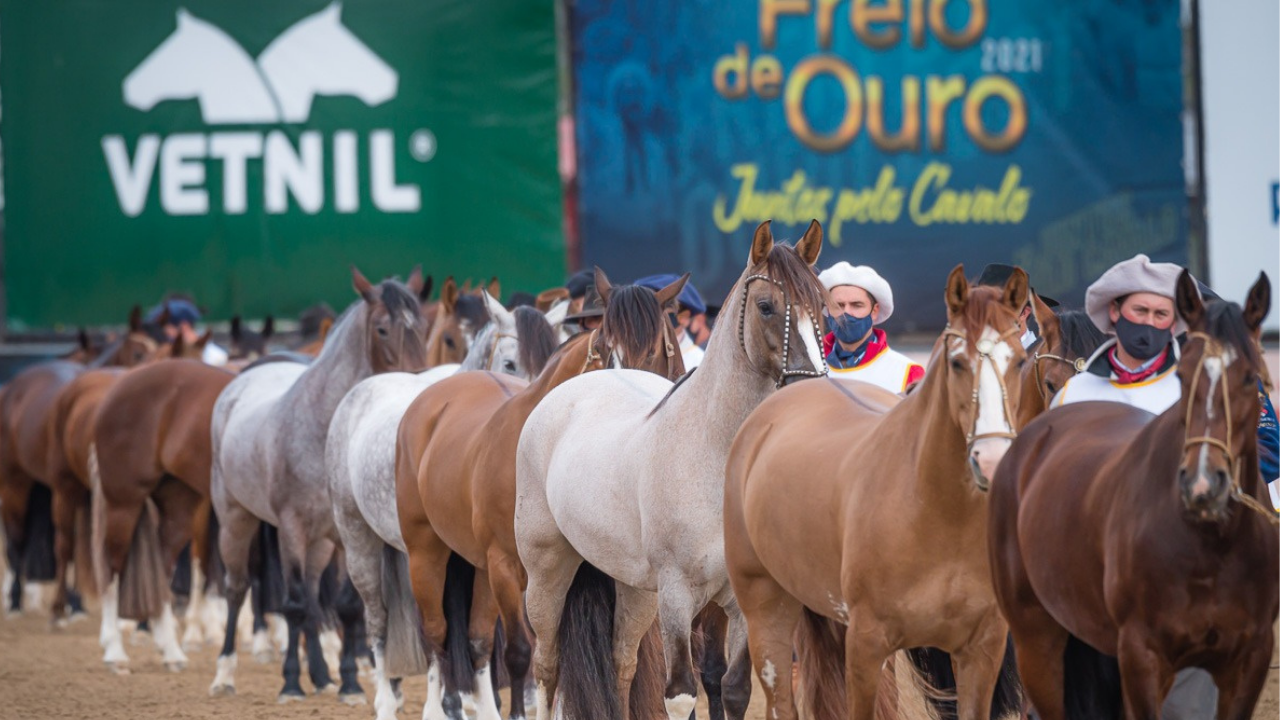 Vetnil é patrocinadora oficial da Morfologia do Cavalo Crioulo durante a Expointer