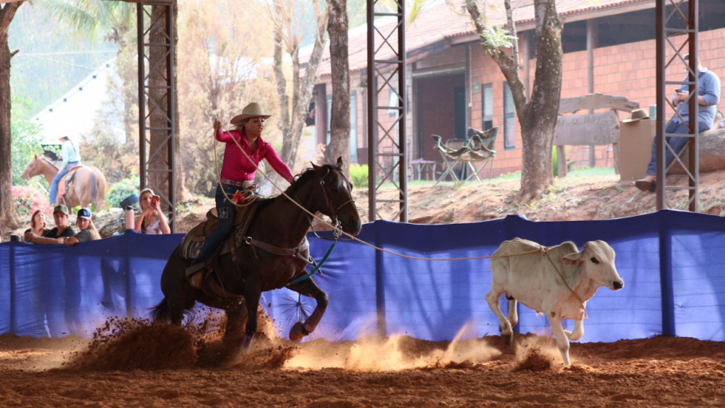 Breakaway Roping cresce a cada ano destacando a força da mulher no Laço