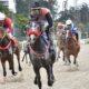 Cavalo Árabe em disputa pelo UAE President Cup Series For Maiden Horses III