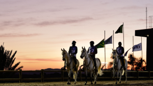 Copa Nacional de Enduro do Cavalo Árabe acontece nesta semana em Campinas