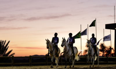 Copa Nacional de Enduro do Cavalo Árabe acontece nesta semana em Campinas