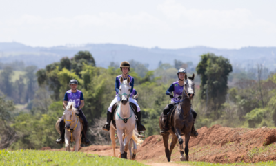 Cavalo Árabe reforça sua aptidão para longas distâncias na Copa Nacional de Enduro