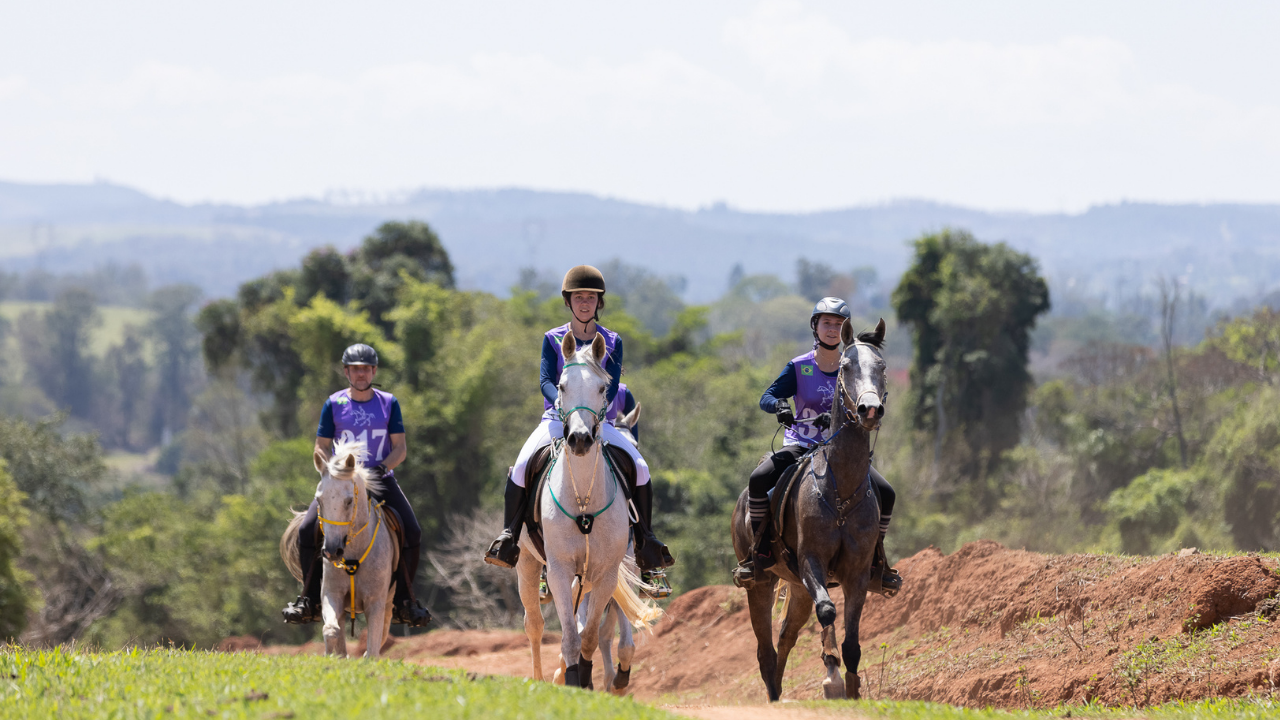 Cavalo Árabe reforça sua aptidão para longas distâncias na Copa Nacional de Enduro