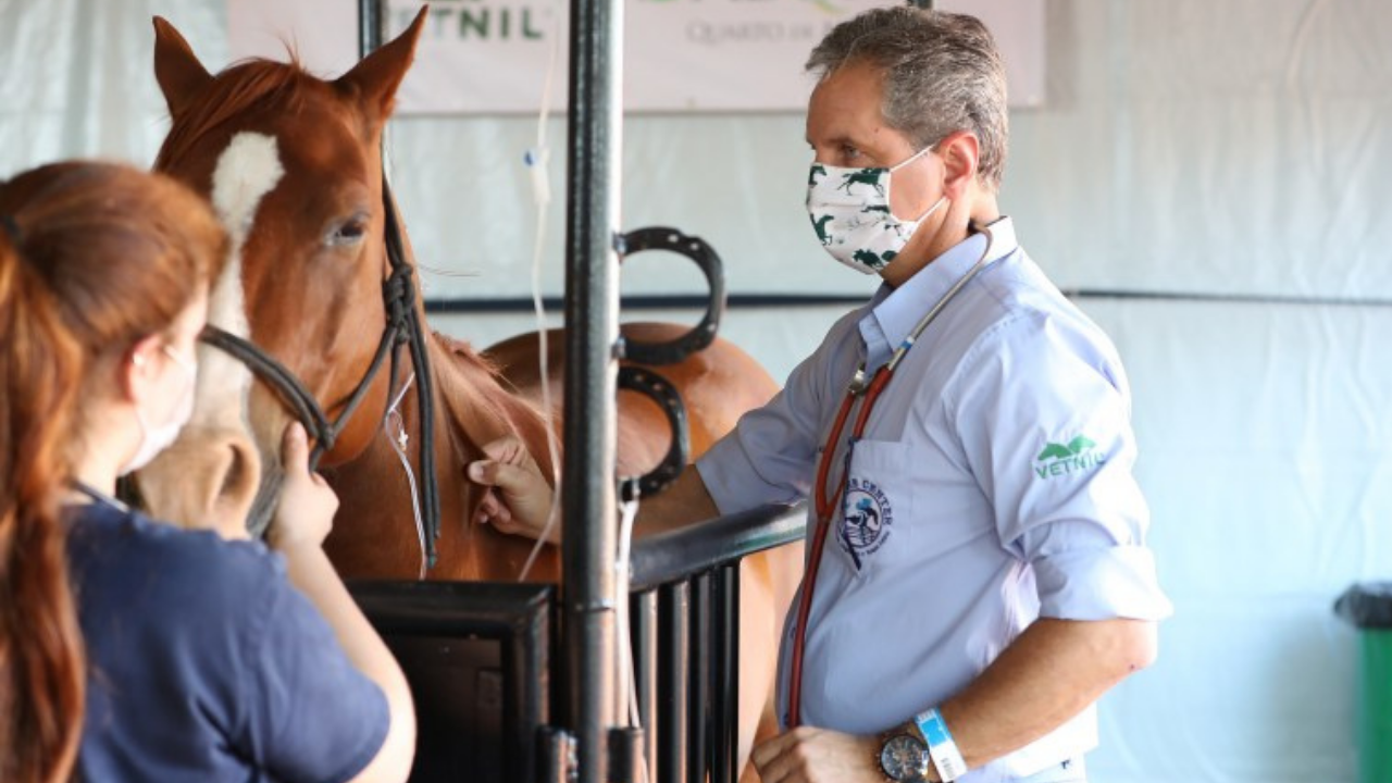 Cuidados pós-prova com cavalos é um dos pontos do bem-estar animal