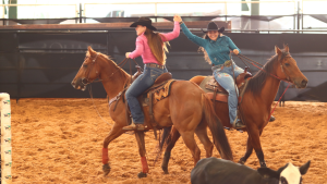 Destaques do Ranch Sorting e Team Penning do Quarto de Milha