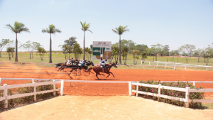 Disputas acirradas movimentam o final de semana no Jockey Club de Sorocaba