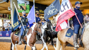 Exposição Nacional Mangalarga prossegue até domingo