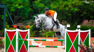 Inscrições abertas para as provas de Salto do XVI Festival Nacional do Cavalo BH