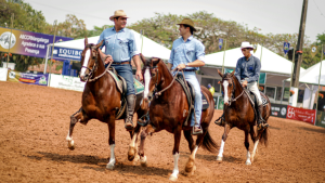 Nacional do Mangalarga começa nessa semana repleta de atrações