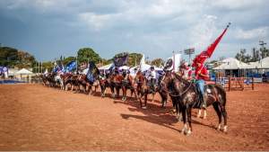 Programa Prosa Mangalarga vem com novidades