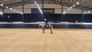 Quarto de Milha já tem todos os campeões de Rédeas do Potro do Futuro, Derby e Copa dos Campeões