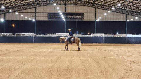 Quarto de Milha já tem todos os campeões de Rédeas do Potro do Futuro, Derby e Copa dos Campeões